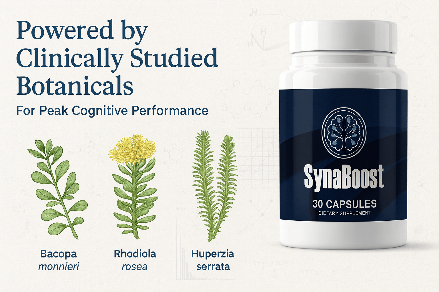Synaboost supplement powered by clinically studied botanicals - Research-backed cognitive herbs Bacopa Monnieri Rhodiola Rosea brain support